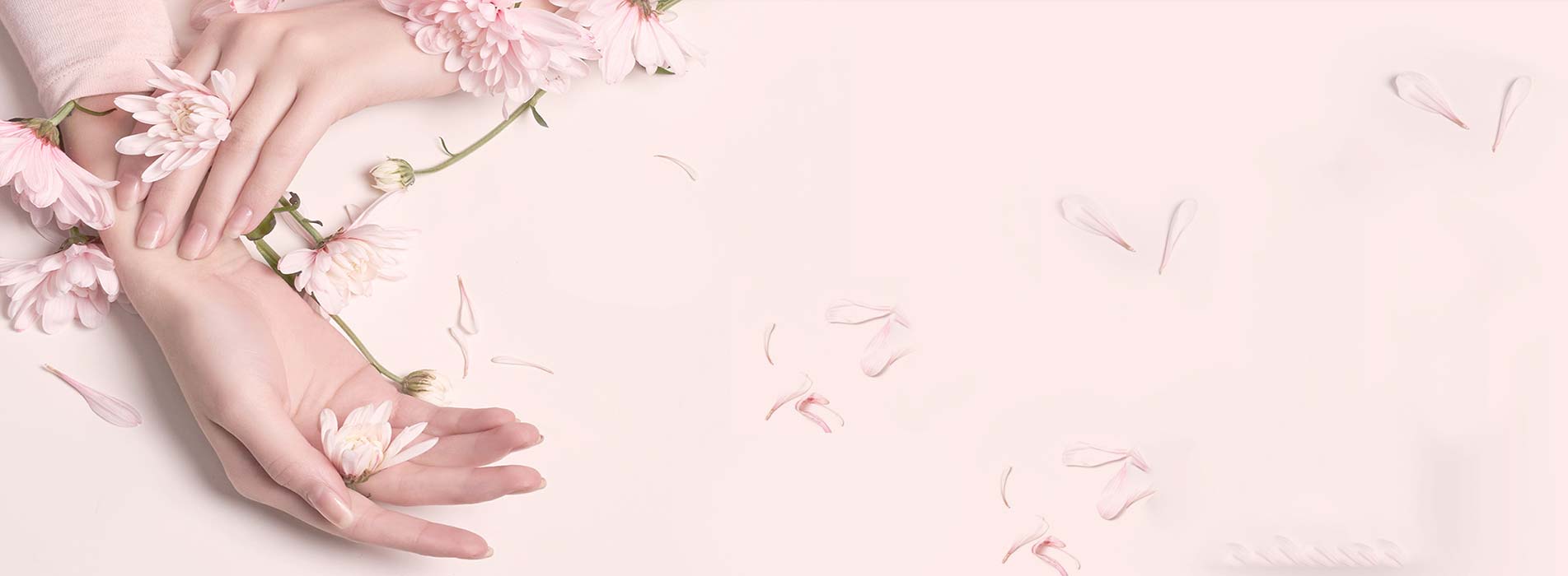 Pronar House of Beauty Hair and beauty salon in